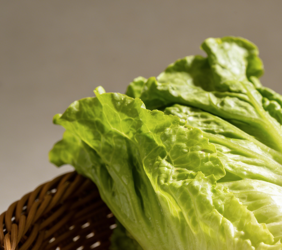 Lettuce helps lower blood pressure, blood sugar, and cholesterol: Nutritional analysis and two practical recipe recommendations