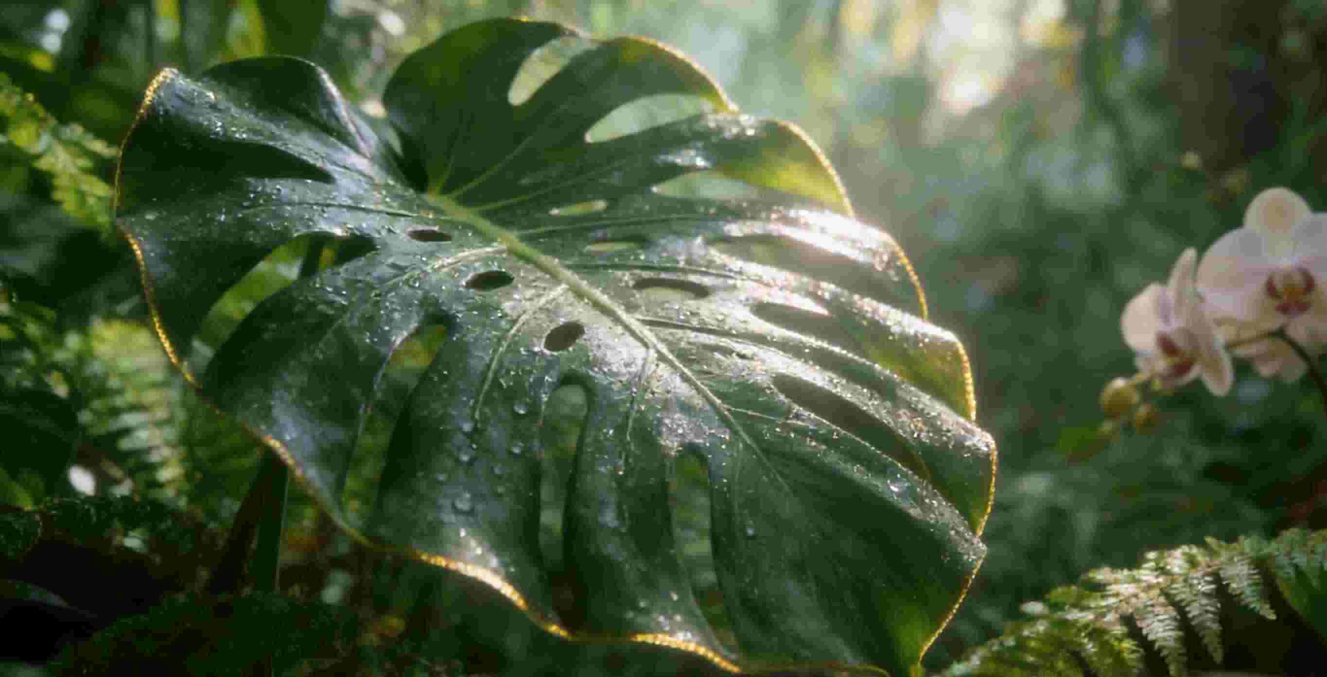 Summer is the perfect time for weight loss: 4 methods of weight loss using Traditional Chinese Medicine acupuncture.